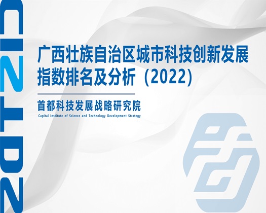 日的骚逼大叫【成果发布】广西壮族自治区城市科技创新发展指数排名及分析（2022）